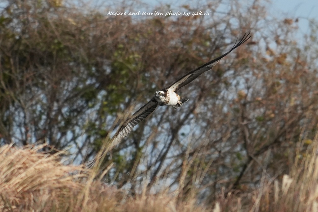 タイトなポイントから