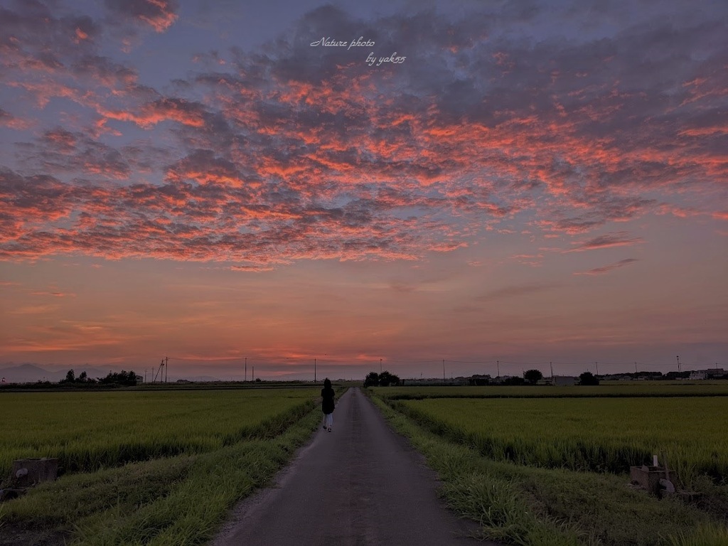 ８月１日 夕刻（ウォーキングにて）