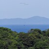 新緑の海岸線