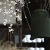 春