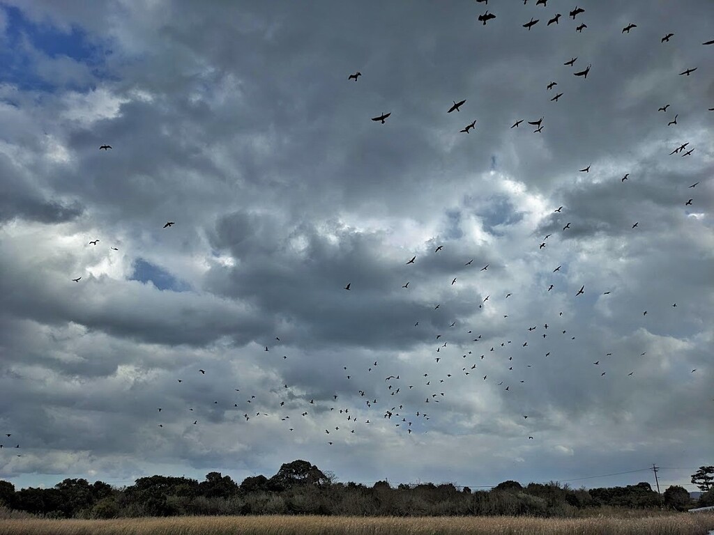 冬空
