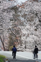 春光