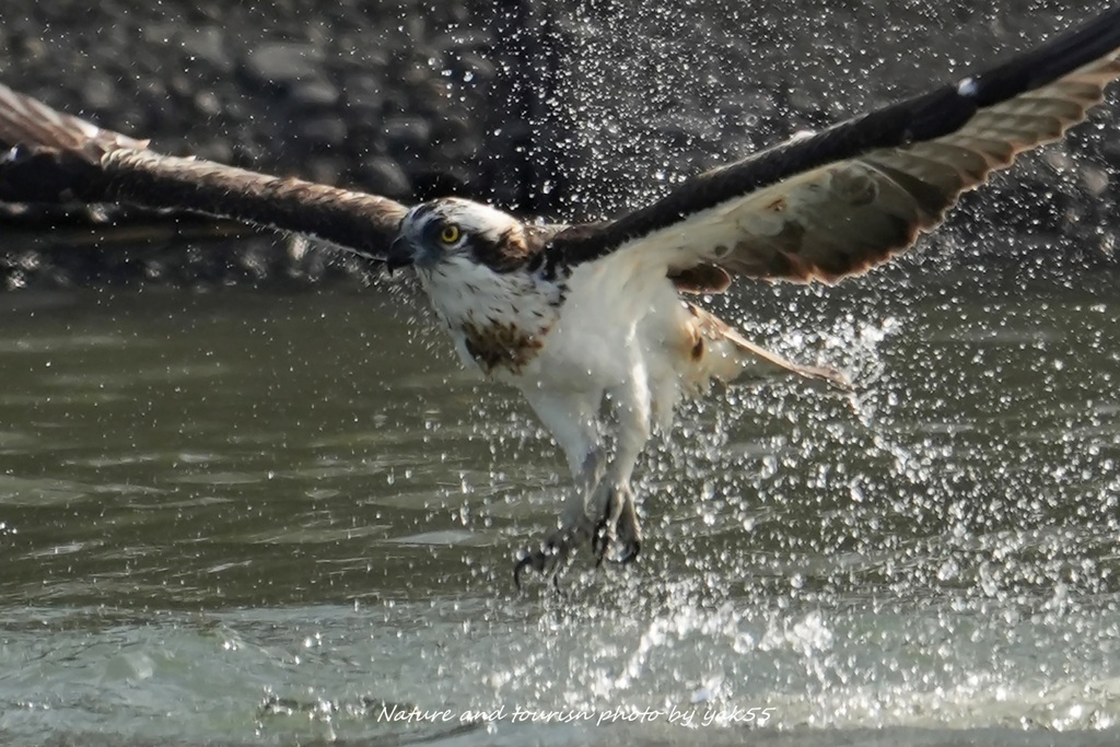 一年の終わりに躍動