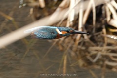 ハイスピード弾丸