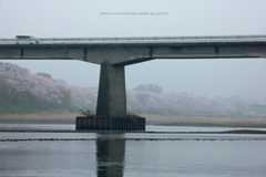 雨に煙る春Ⅱ