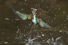 えっ！そっち・・