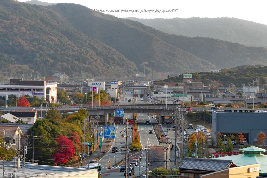 師走の伊勢を高台から