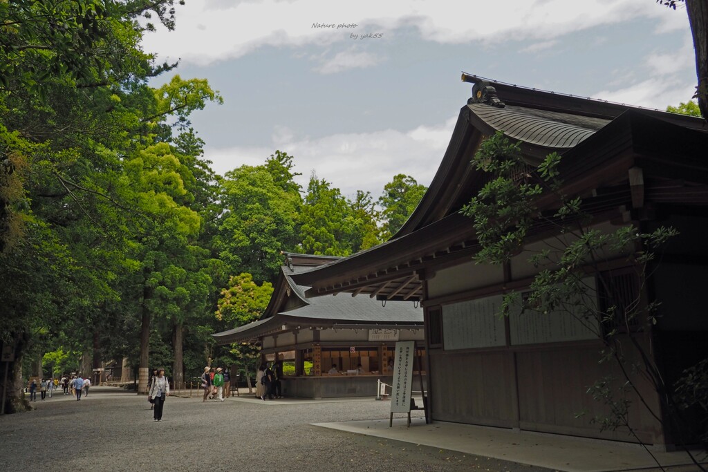 参道（伊勢神宮・外宮）