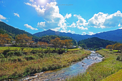 里山のプチ紅葉