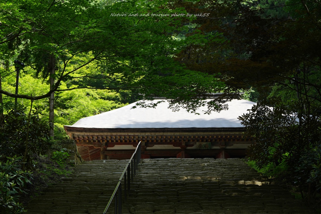 国宝・金堂（室生寺）