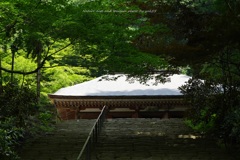 国宝・金堂（室生寺）