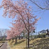 春の通学路