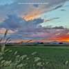 本日の夕方ウォーキング