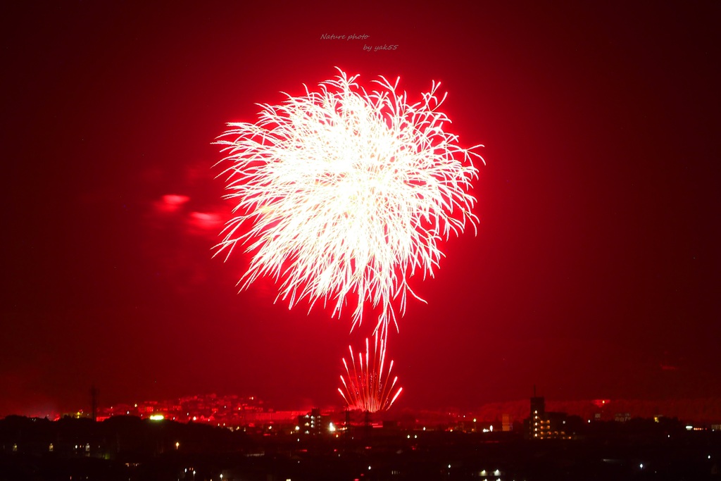夏夜を染める紅