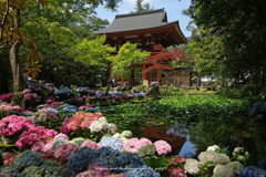 国宝（室生寺）Ⅳ