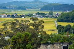 真夏日の城下Ⅱ