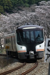 春の紀勢本線