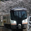 春の紀勢本線