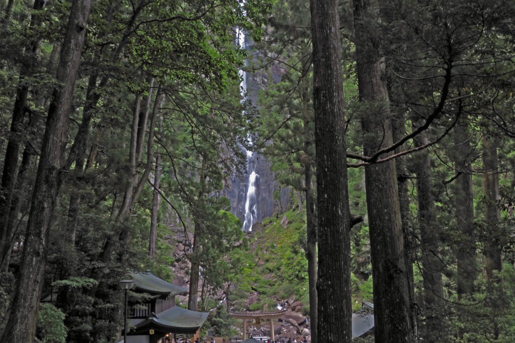 那智の滝Ⅲ