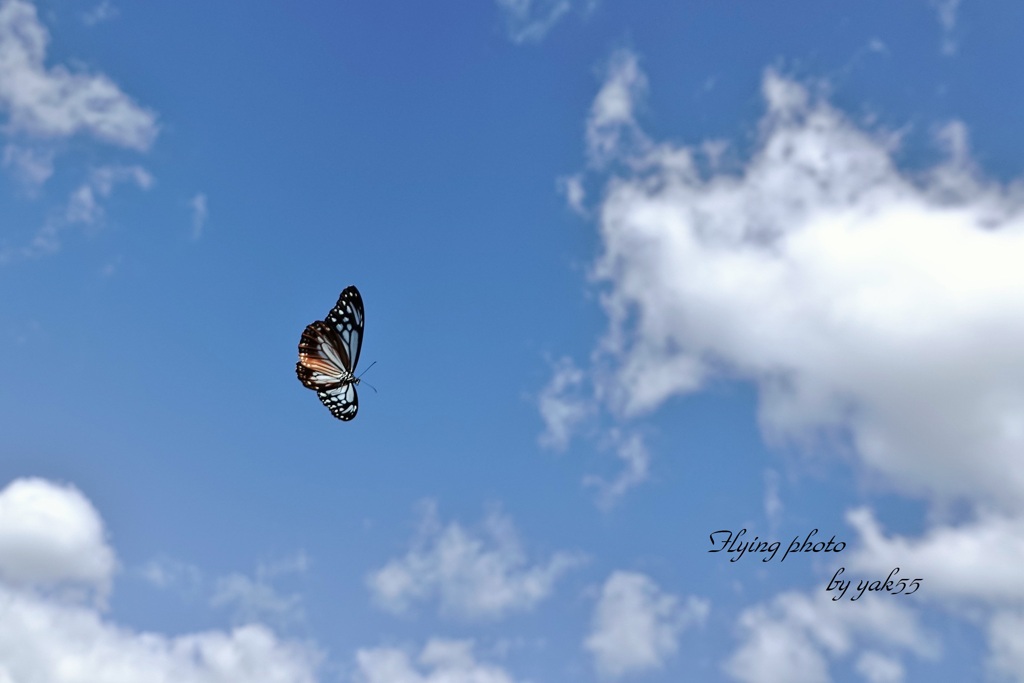 10.23 秋空