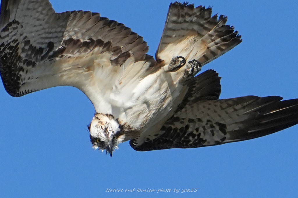 スーパーロックオン