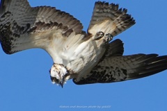 スーパーロックオン