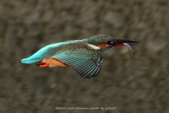 真冬のハイスピード