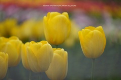 Spring Color