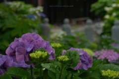 6月