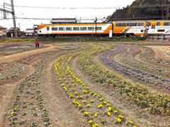 ご苦労様です。（近鉄特急・ビスターカー）