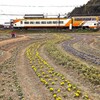 ご苦労様です。（近鉄特急・ビスターカー）
