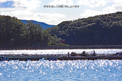 鳥居（南伊勢町）