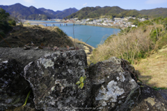 城壁から望む