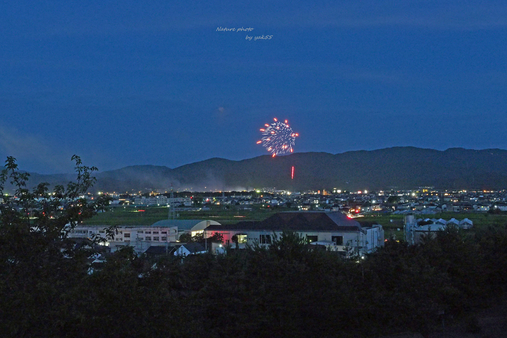 帰って来た夏夜