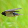 HIGH SPEED