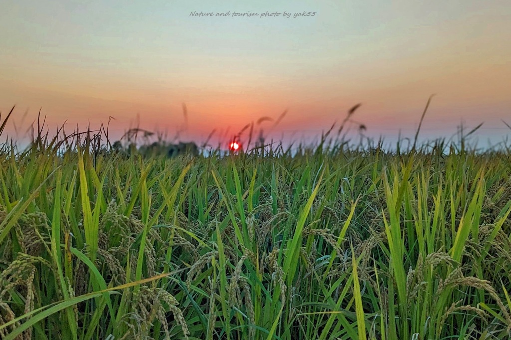 晩夏の夕暮れ