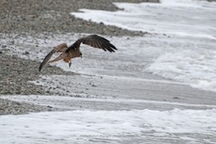 秋の海岸線
