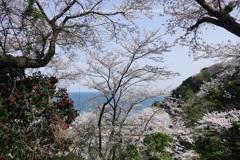 春の沿岸線Ⅱ