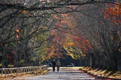 季節は進みます