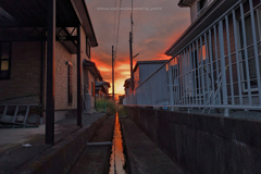夕暮れの側溝