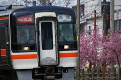 春の沿線
