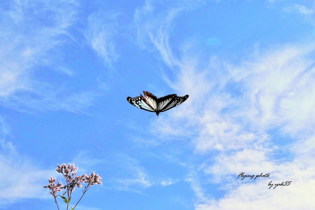 10.27 秋空