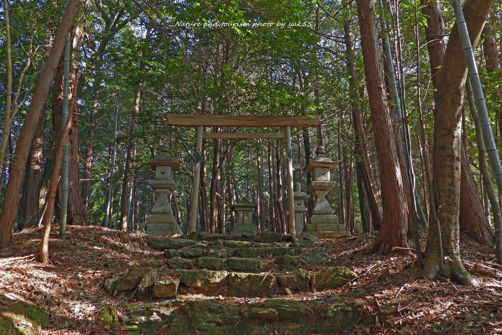 睦月の穏やかな日