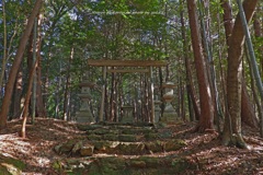 睦月の穏やかな日