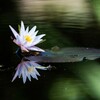 晩夏の記憶