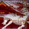 御祭神