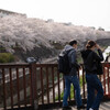 去り行く春