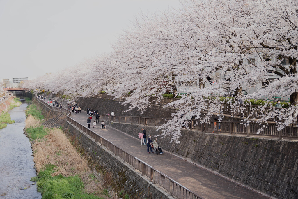 春の小川