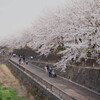 春の小川
