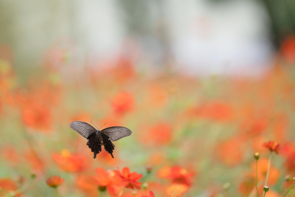 ぎりぎり。